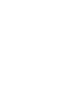 white security logo
