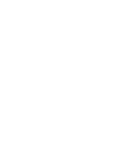 white security logo